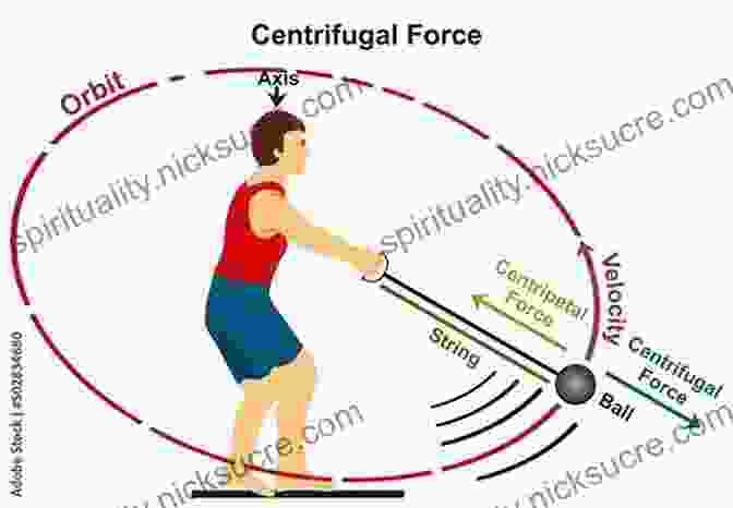 A Hammer Thrower Releasing The Hammer With Centrifugal Force Track: The Field Events (Sports Illustrated Winner S Circle Books)
