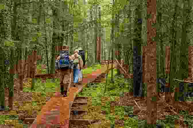 A Hiker On The North Country National Scenic Trail. Ohio Backpacking Loops: A Guide To 14 Backpack Trails In The Buckeye State