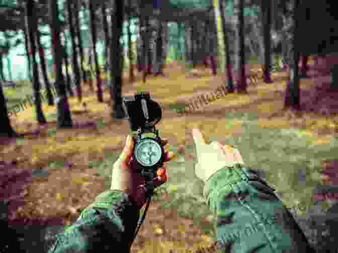 A Person Using A Compass To Find Direction In The Wilderness The Nature Instinct: Learn To Find Direction Sense Danger And Even Guess Nature S Next Move Faster Than Thought (Natural Navigation)