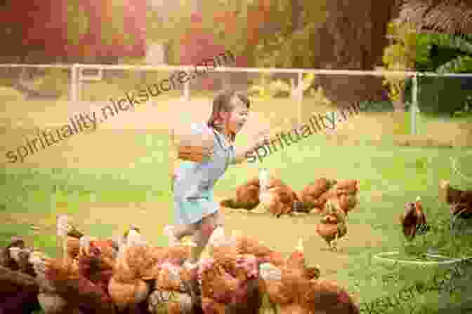 A Photo Of A Person Feeding Chickens In A Backyard. 52 Unique Techniques For Stocking Food For Preppers: A Strategy A Week To Help Stock Your Pantry For Survival
