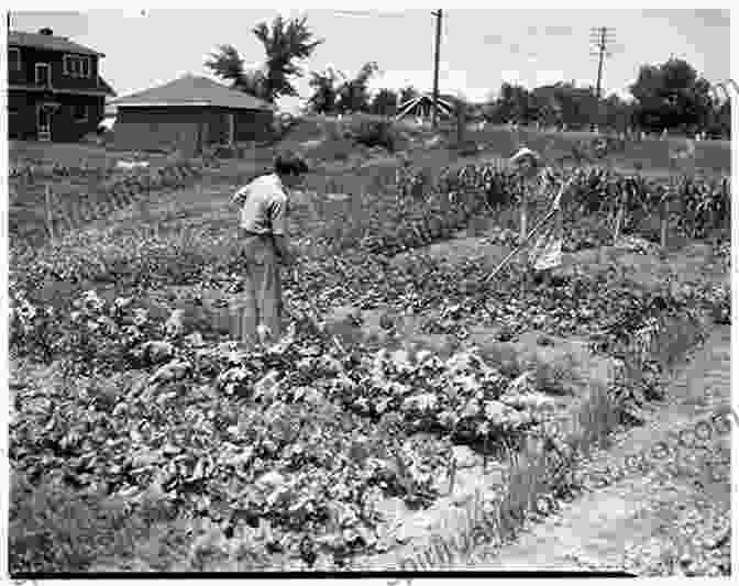 A Photo Of A Person Working In A Victory Garden. 52 Unique Techniques For Stocking Food For Preppers: A Strategy A Week To Help Stock Your Pantry For Survival