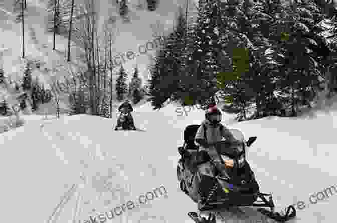 A Snowmobiler Riding Through A Snowy Forest In Maine Making Tracks: How I Learned To Love Snowmobiling In Maine