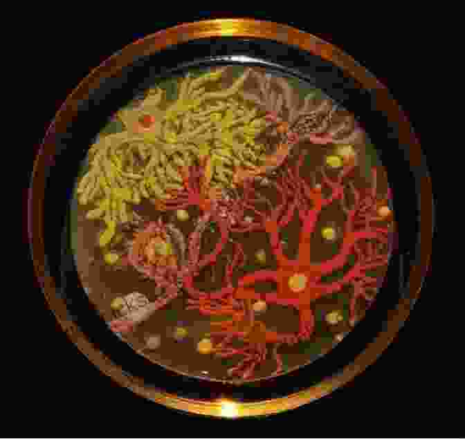 Abstract Art Created Using Agar Plates And Microbial Cultures, Showcasing Intricate Designs And Vibrant Colors. Culture Media Solutions And Systems In Human ART