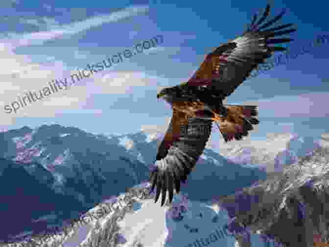 An Eagle Soaring Majestically Above A Mountain Peak, Its Keen Eyesight Scanning The Surroundings A Like Alphabet: A Like Animals