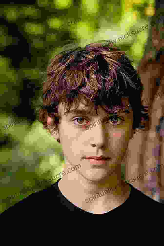 Danny Dirks, A Young Boy With Brown Hair And Blue Eyes, Standing In A Field With A Sword In His Hand. Danny Dirks And The Heir Of Pendragon (Danny Dirks Saga 1)