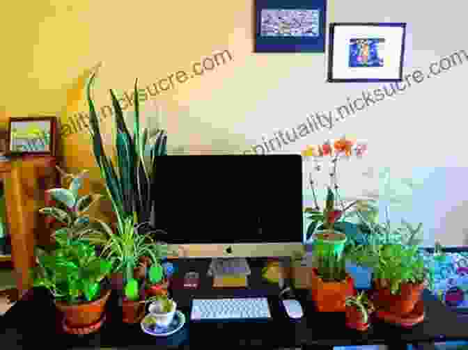 Splashes Of Joy Mini Placed On A Desk, Adding A Touch Of Greenery And Tranquility To The Workspace. Splashes Of Joy Mini