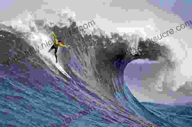 Surfer Riding A Wave In Baja California, Mexico The Surfer S Guide To Baja