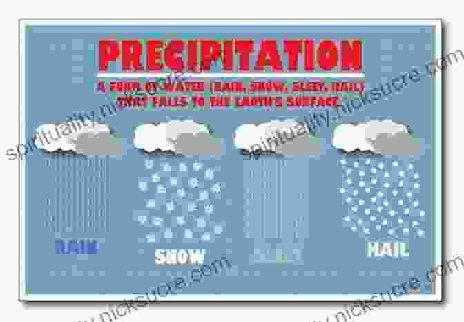 Types Of Precipitation, Showing Rain, Snow, And Hail The Secret World Of Weather: How To Read Signs In Every Cloud Breeze Hill Street Plant Animal And Dewdrop (Natural Navigation)