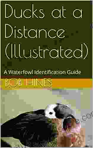 Ducks At A Distance (Illustrated): A Waterfowl Identification Guide