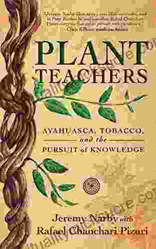 Plant Teachers: Ayahuasca Tobacco And The Pursuit Of Knowledge