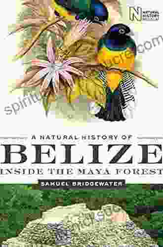 A Natural History Of Belize: Inside The Maya Forest (Corrie Herring Hooks 52)