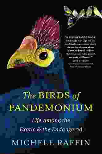 The Birds Of Pandemonium: Life Among The Exotic The Endangered