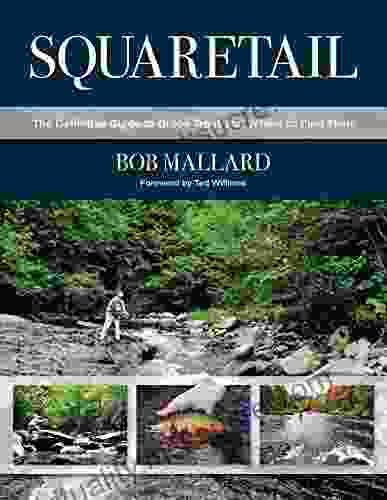 Squaretail: The Definitive Guide To Brook Trout And Where To Find Them
