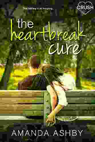The Heartbreak Cure Amanda Ashby