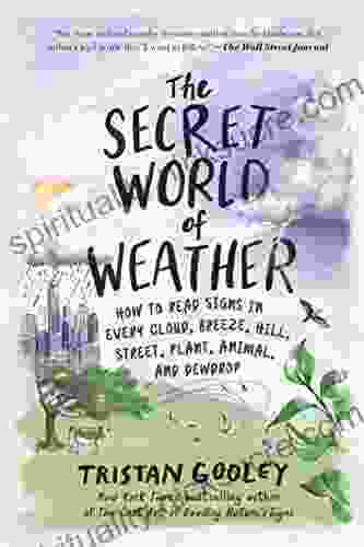 The Secret World Of Weather: How To Read Signs In Every Cloud Breeze Hill Street Plant Animal And Dewdrop (Natural Navigation)
